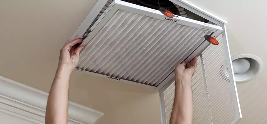 Preventive Cockroach-Proofing for Ducts in Maywood