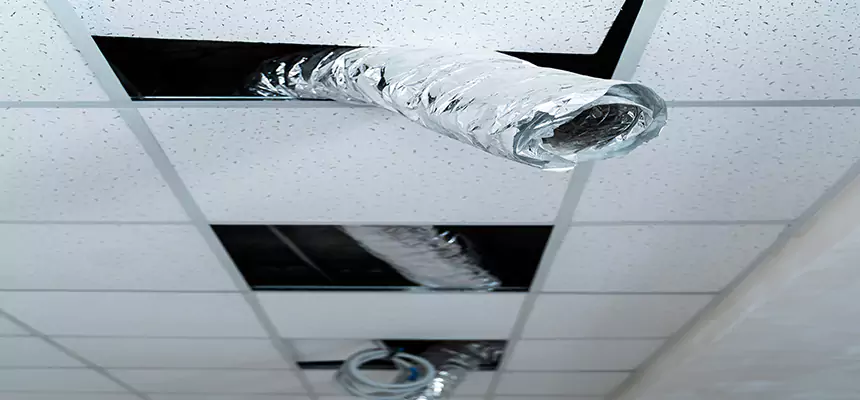 Our Air Duct Pet Hair Removal Services in Maywood, IL