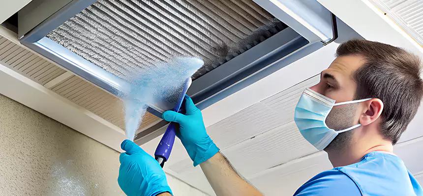 Proactive Dryer Vent & Auxiliary Duct Pollen Cleanup in Maywood, IL