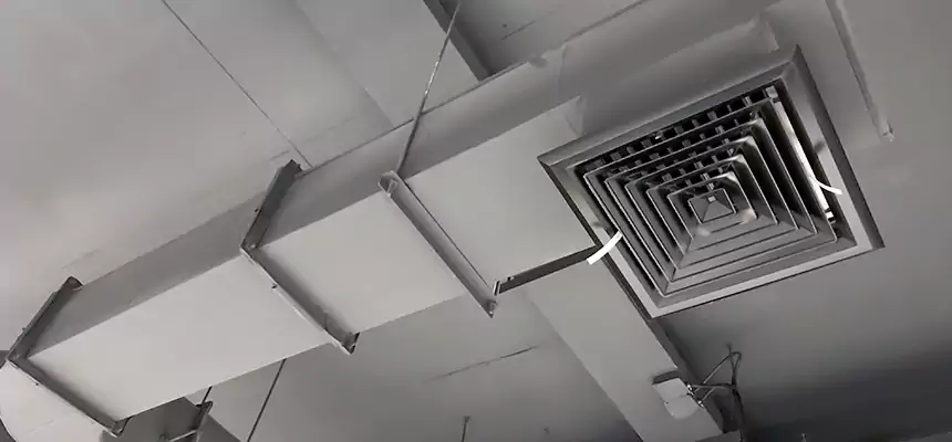 Our Pest Removal From Ducts Services in Maywood, IL