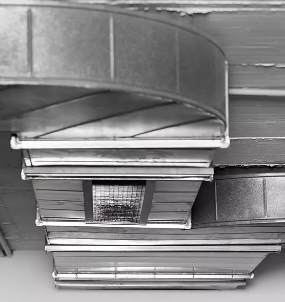 Professional Air Duct Pest Removal in Maywood, IL