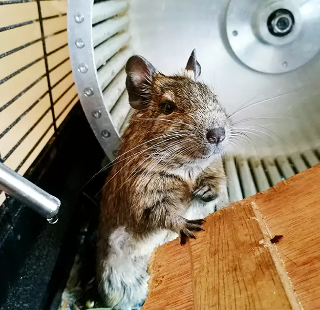 Why Homeowners & Businesses Trust Us Maywood, IL?