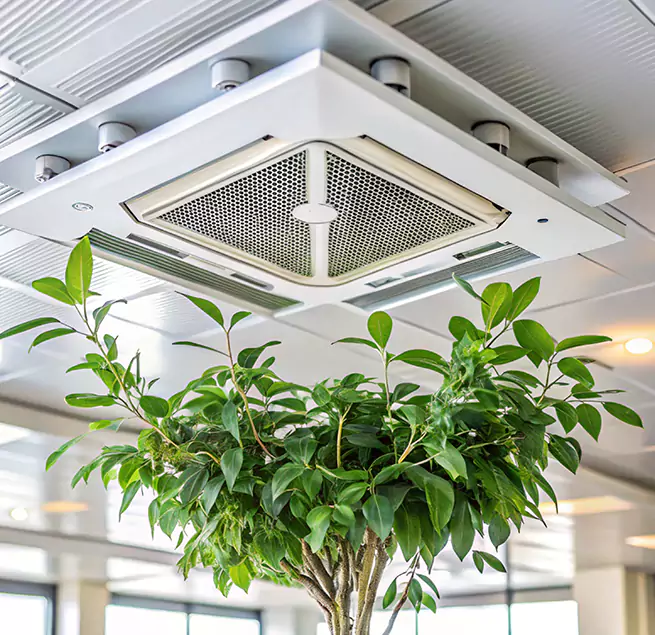 Why Homeowners & Businesses Trust Us in Maywood, IL